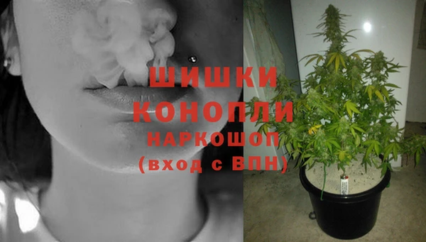 дурь Ельня