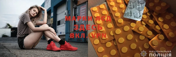 сатива Елабуга