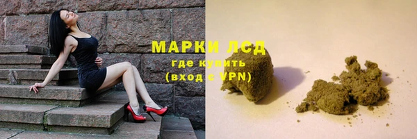 сатива Елабуга