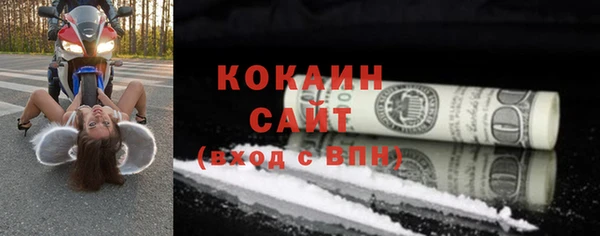 дурь Ельня