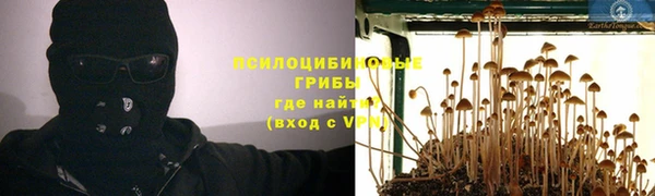 амф Елизово