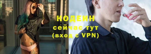 амф Елизово