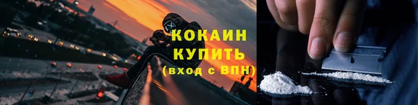 сатива Елабуга