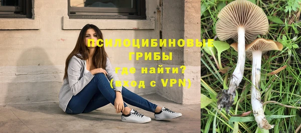 амф Елизово