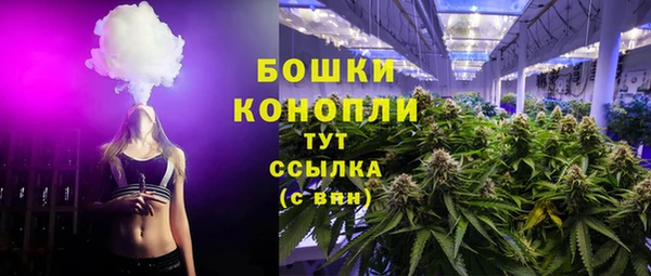 дурь Ельня