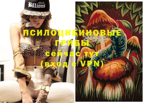 дурь Ельня
