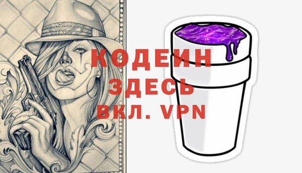 сатива Елабуга