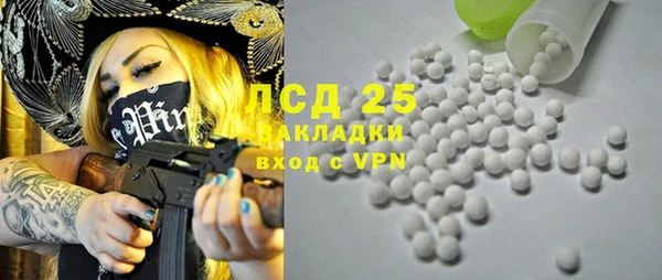 дурь Ельня