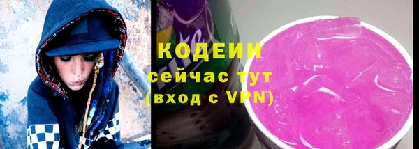 дурь Ельня