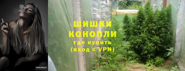 амф Елизово
