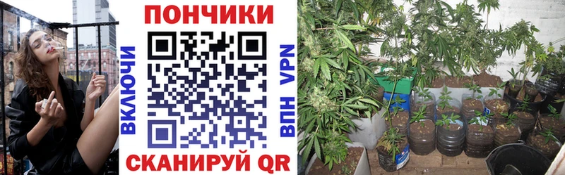 хочу наркоту  Полесск  Бошки марихуана планчик 